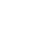 DeepSeek